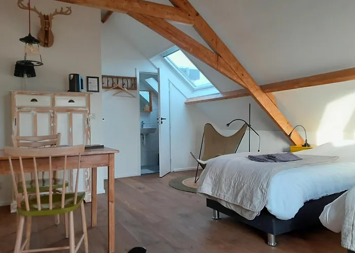 sport B&B De Veluwezoom Velp 